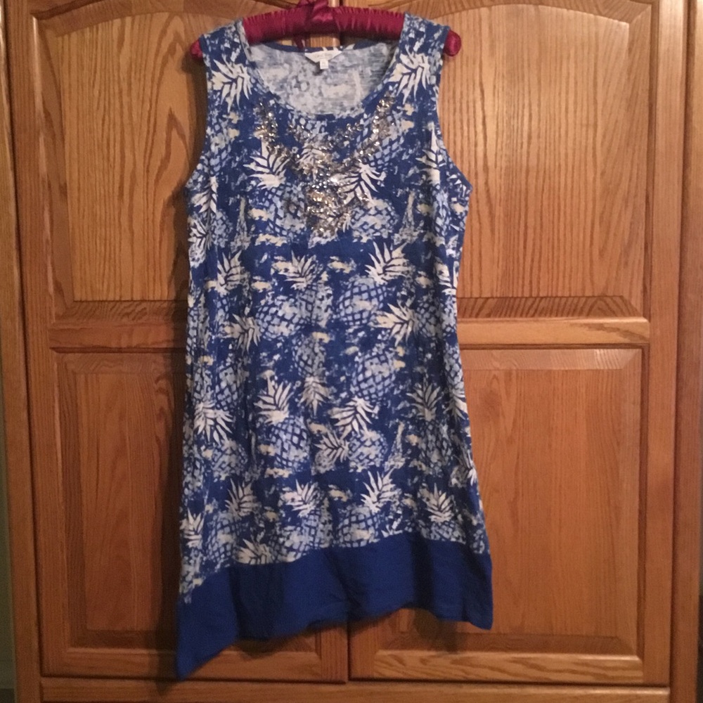Coral Bay Blue and Cream Embellished Dress